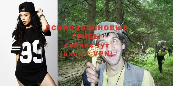 хмурый Балабаново