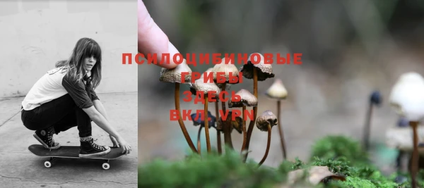 гашишное масло Снежногорск