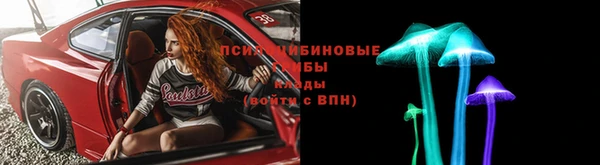 ПСИЛОЦИБИНОВЫЕ ГРИБЫ Белокуриха