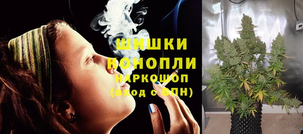 молекула духа Семикаракорск